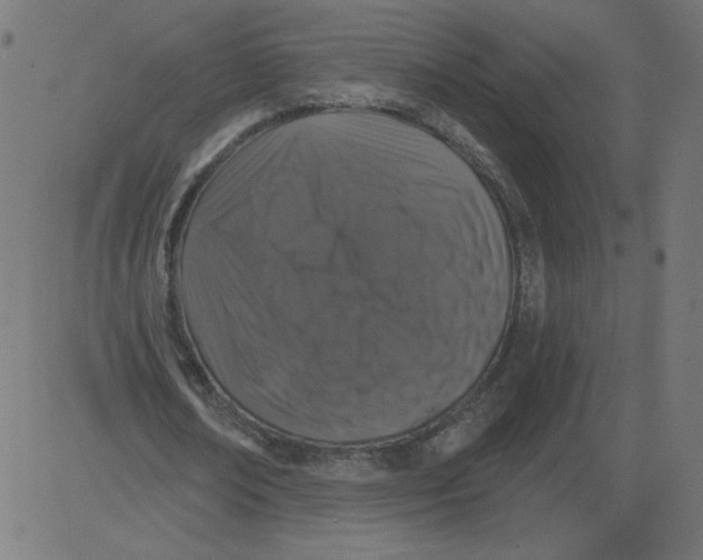 X0000081360674200702020141