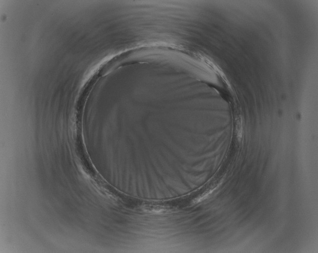 X0000081360676200702020141