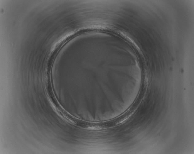 X0000081360677200702020141