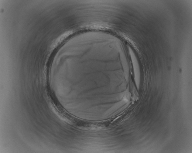 X0000081360678200702020141