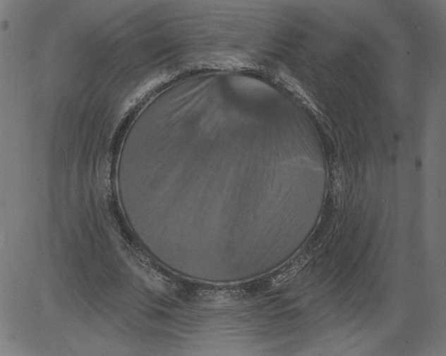 X0000081360679200702020141