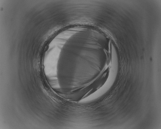 X0000081360680200702020141