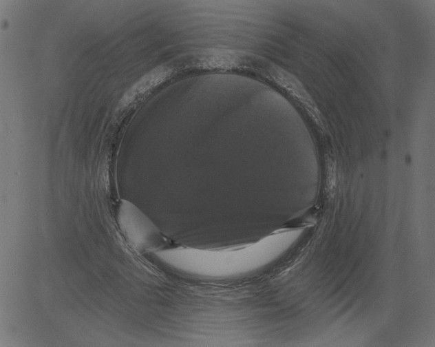 X0000081360681200702020141