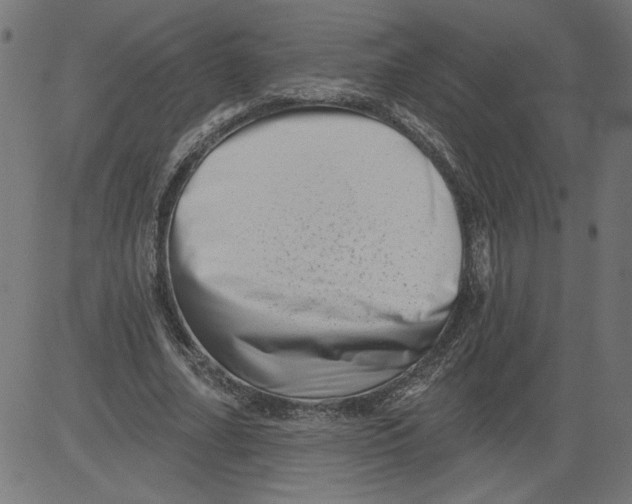 X0000081360682200702020140