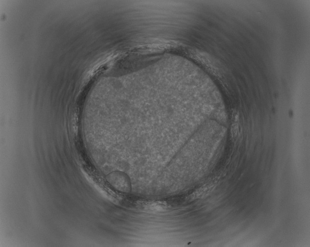 X0000081360683200702020140