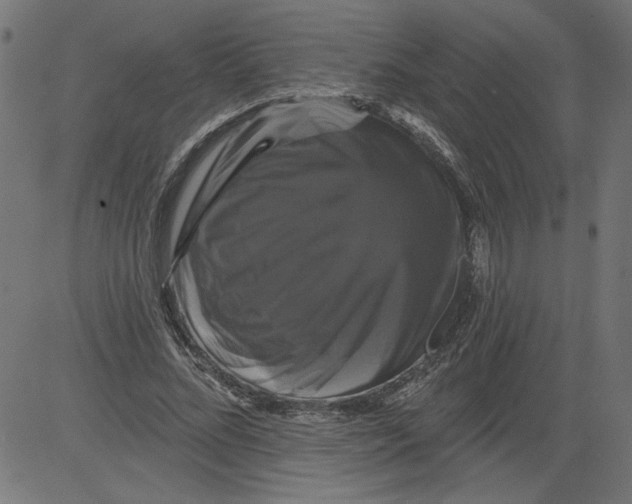 X0000081360684200702020140