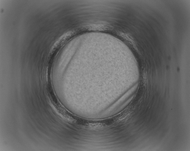 X0000081360686200702020140