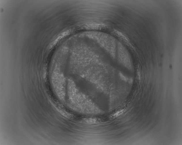 X0000081360687200702020140