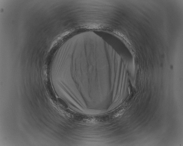 X0000081360688200702020140