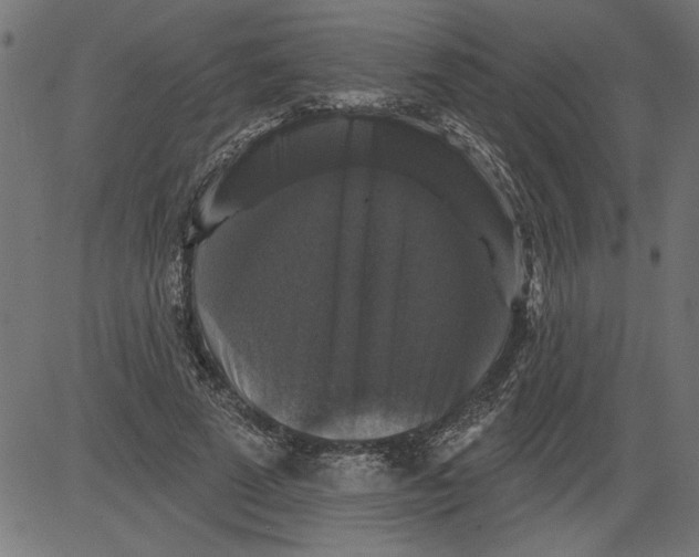 X0000081360689200702020140