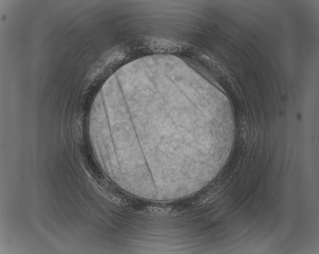 X0000081360690200702020140