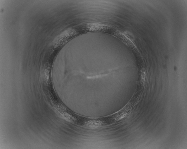 X0000081360691200702020140