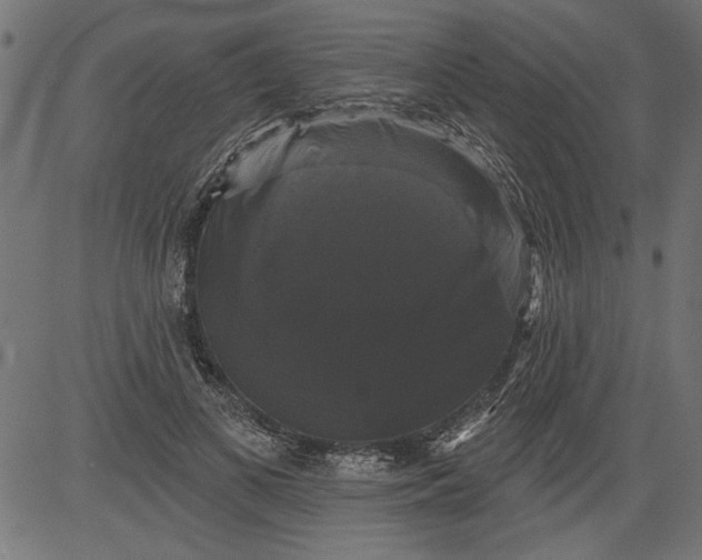 X0000081360693200702020140