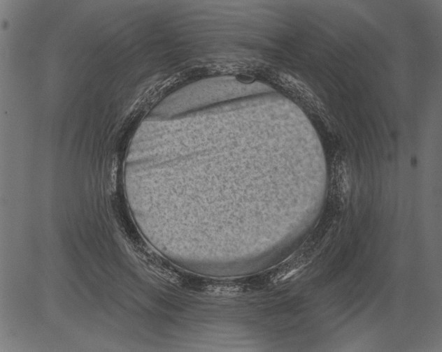 X0000081360694200702020140