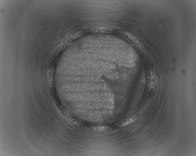 X0000081360695200702020140