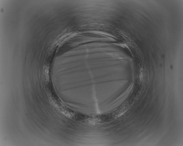 X0000081360696200702020140