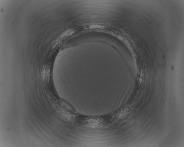 X0000081360697200702020140