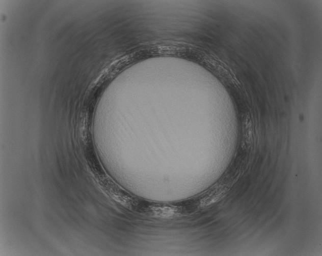 X0000081360698200702020140