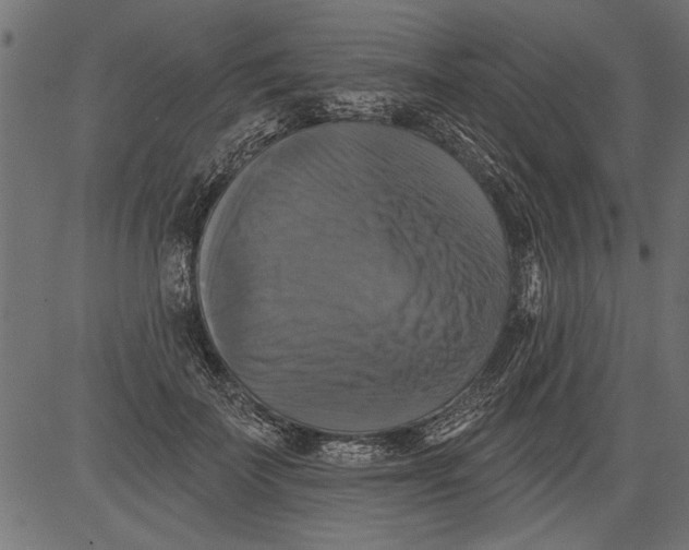 X0000081360699200702020140