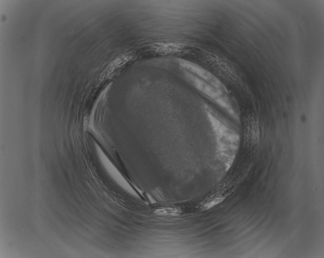 X0000081360700200702020140