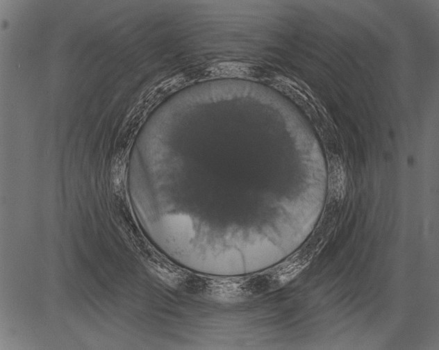 X0000081360701200702020140