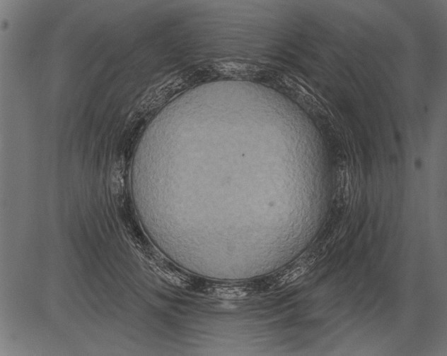 X0000081360702200702020140