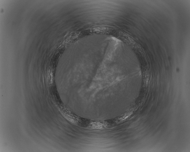 X0000081360703200702020140