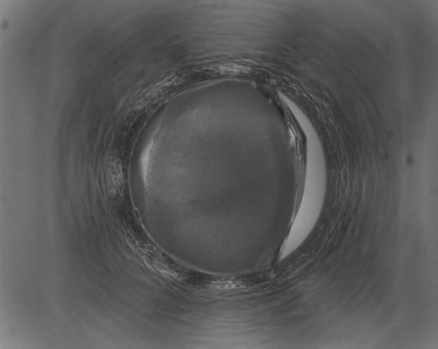 X0000081360704200702020140