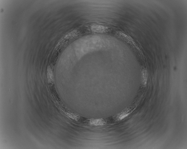 X0000081360705200702020140