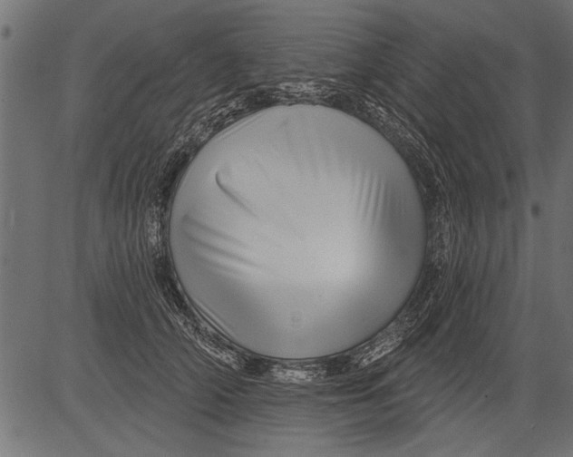 X0000081360706200702020140