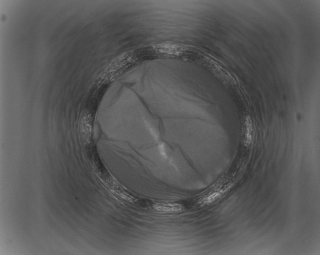 X0000081360707200702020140