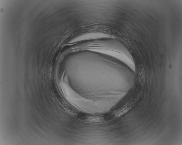 X0000081360708200702020140