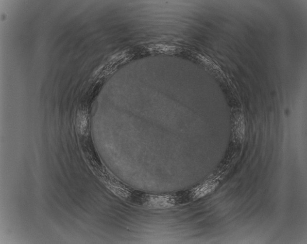 X0000081360709200702020140