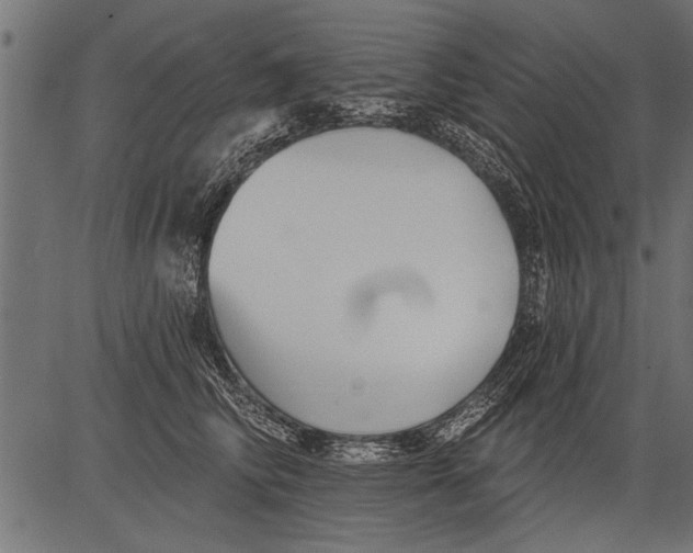 X0000081360710200702020140