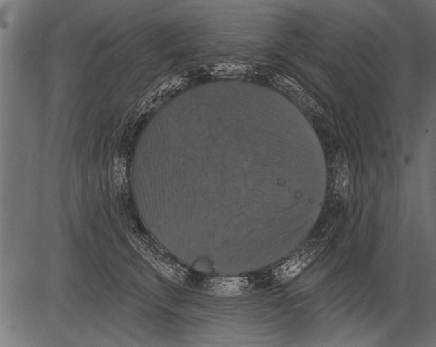 X0000081360711200702020140