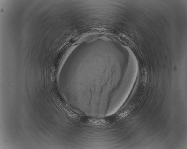 X0000081360712200702020140