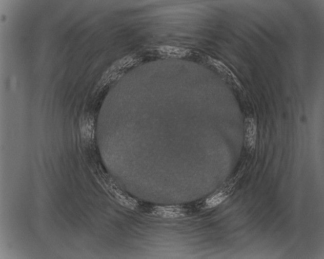 X0000081360713200702020140