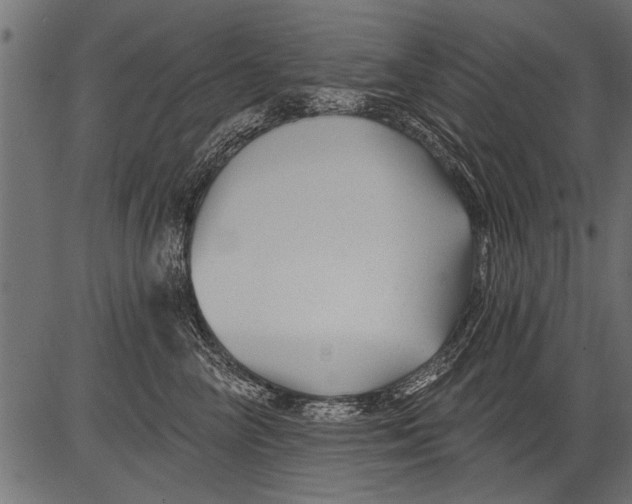 X0000081360714200702020140