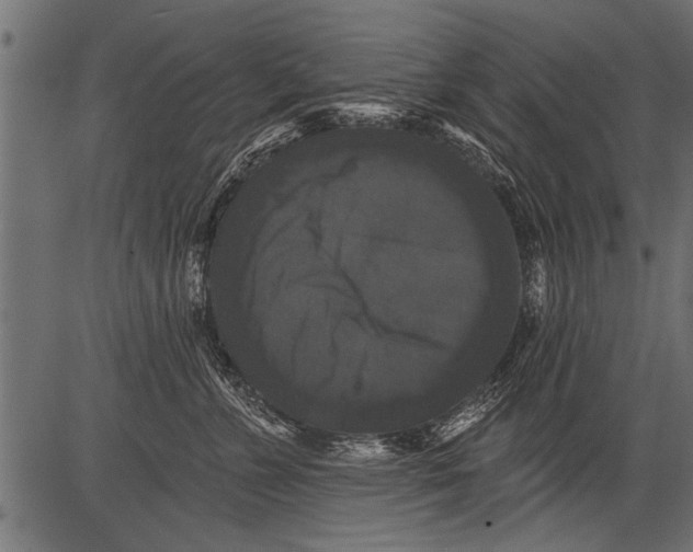 X0000081360715200702020140