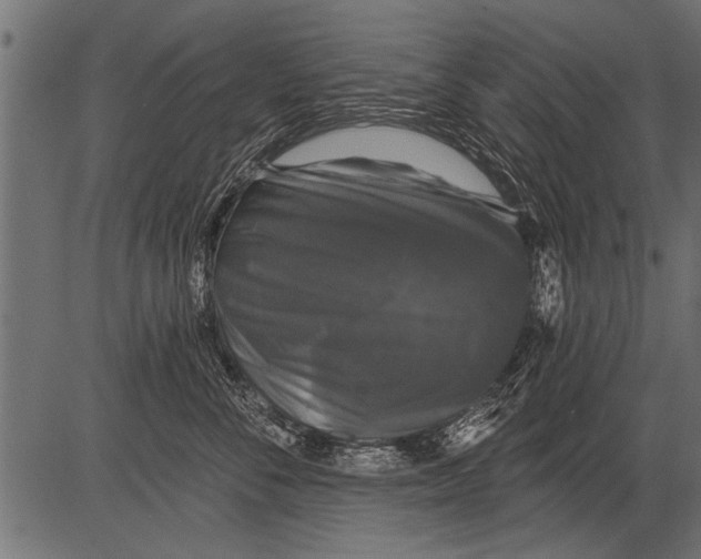 X0000081360716200702020140