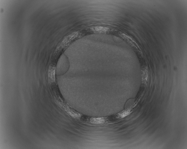 X0000081360717200702020140