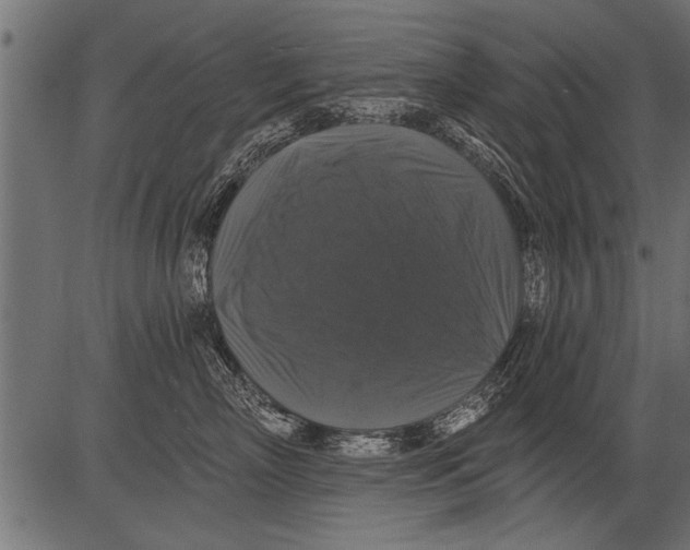 X0000081360718200702020140