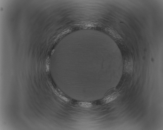 X0000081360719200702020140