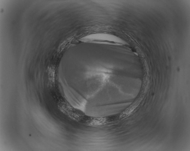 X0000081360720200702020140