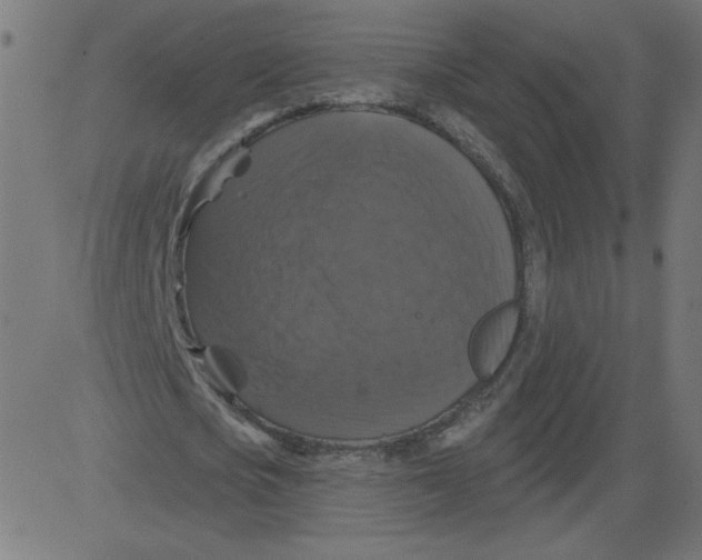 X0000081360721200702020139