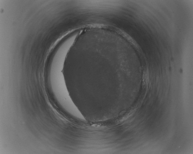 X0000081360722200702020139