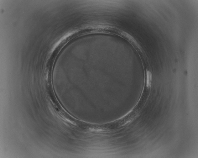 X0000081360723200702020139