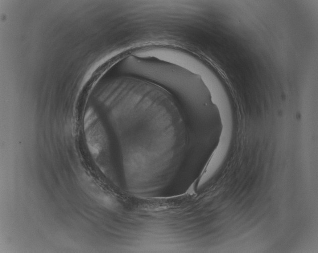 X0000081360724200702020139