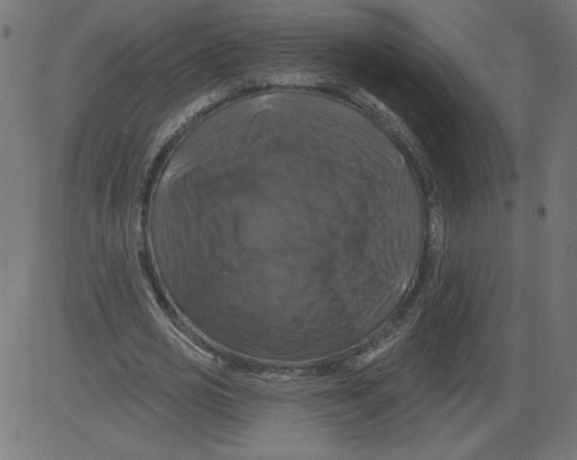 X0000081360725200702020139