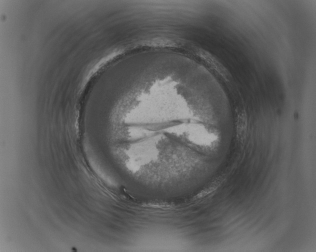 X0000081360727200702020139